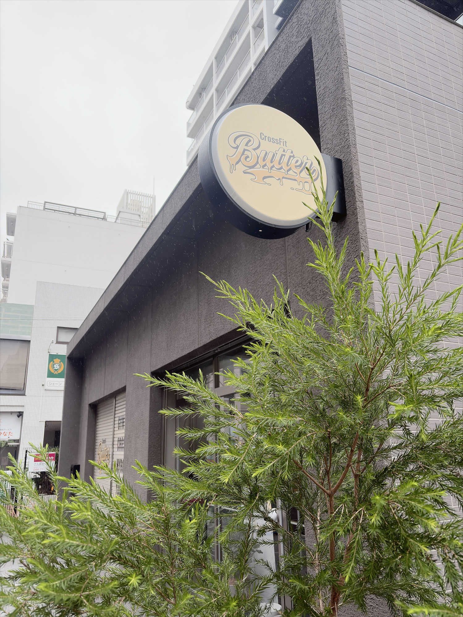 キヨさんが紹介してくれたジムの外観